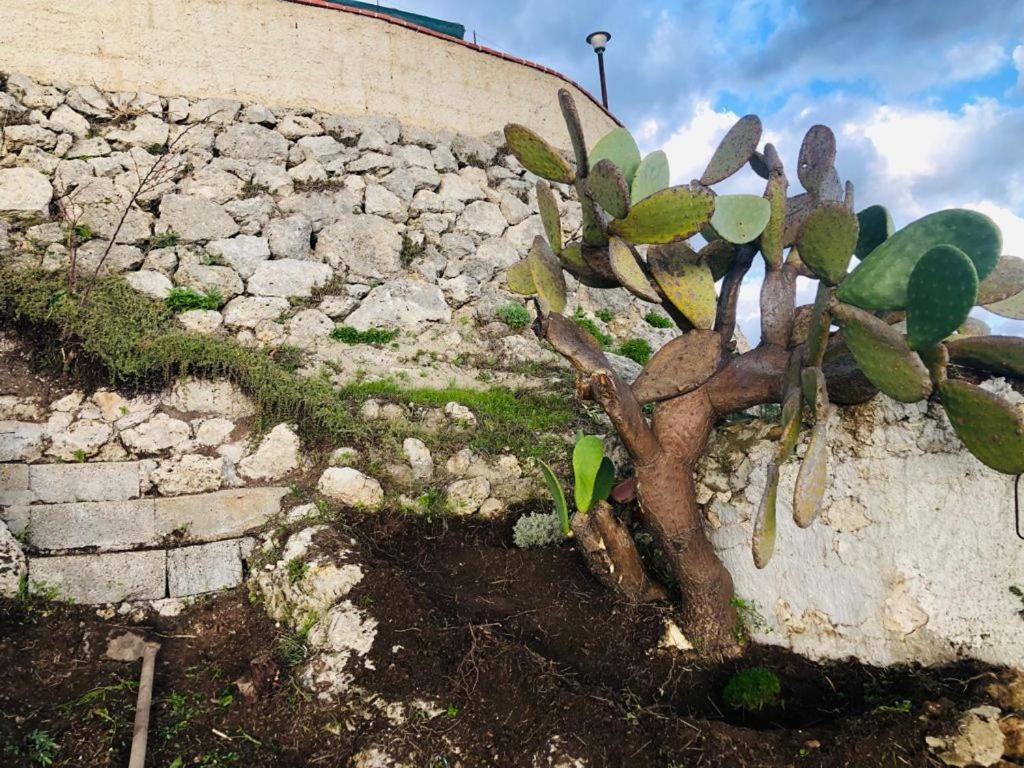 B&B Tenuta La Puntara Caltanissetta Exteriér fotografie
