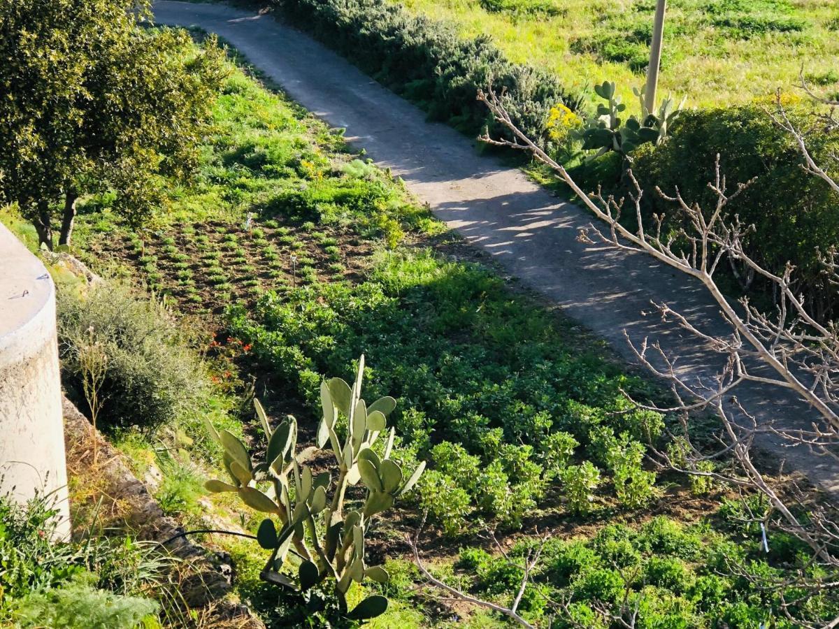 B&B Tenuta La Puntara Caltanissetta Exteriér fotografie