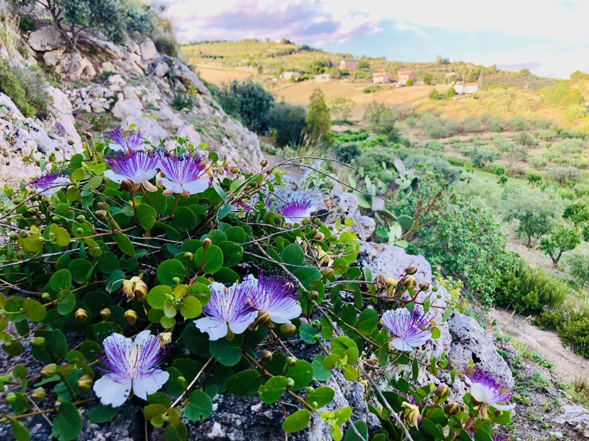 B&B Tenuta La Puntara Caltanissetta Exteriér fotografie