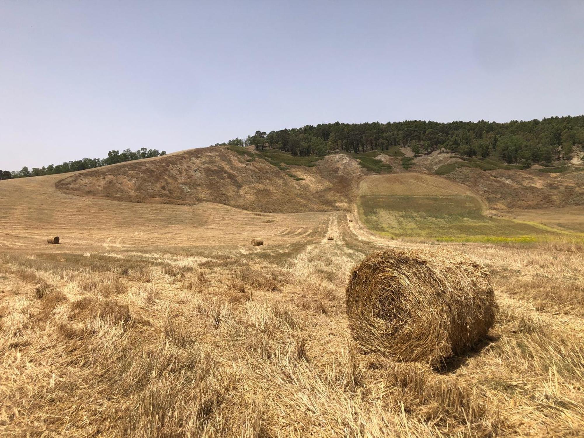 B&B Tenuta La Puntara Caltanissetta Exteriér fotografie